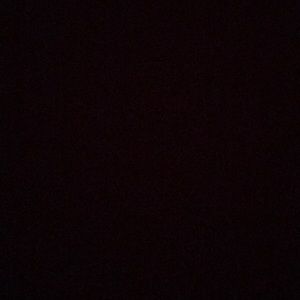 Meet your Posher, Tracie